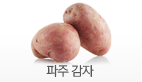 파주 감자